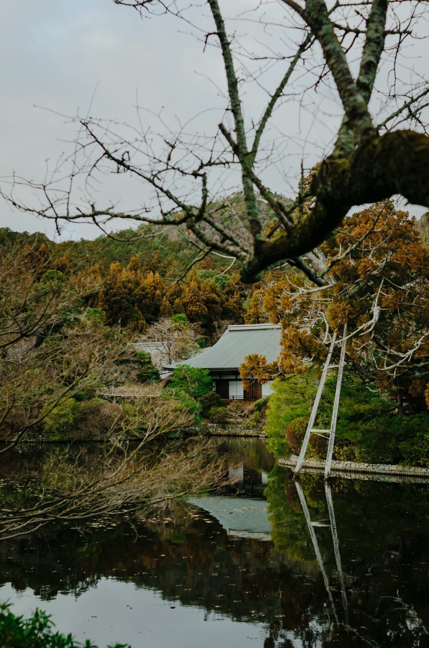 Превью Kyoto 2024